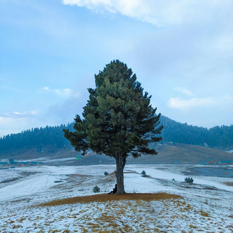 images/insta/Kashmir Tour Package 6 Nights 7 Days 5.jpg
